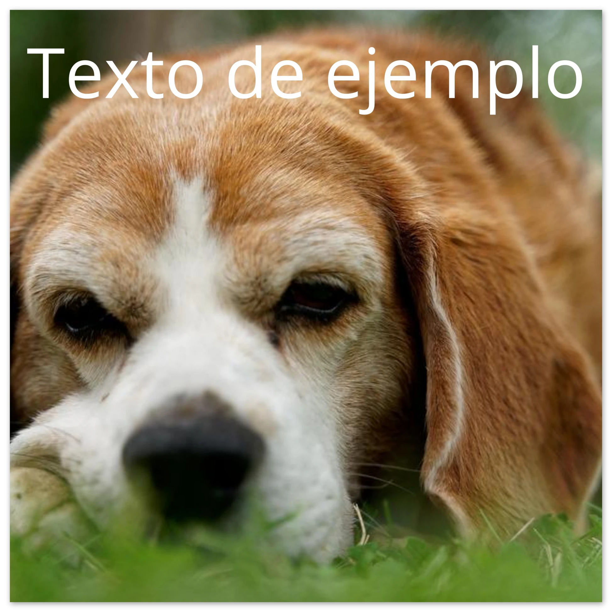 4bf5646f-60c7-4bc3-afec-3e38bd65d466