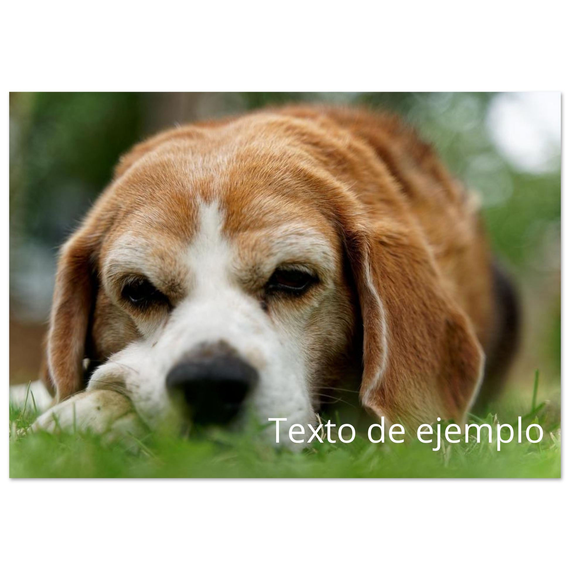 a1f18104-1369-4ceb-8d85-8bc60a7e9f37